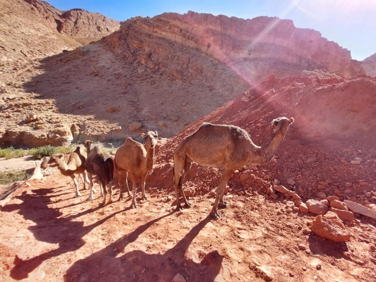Bab El Atlas Kelaat-M'Gouna Zewnętrze zdjęcie